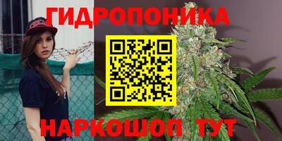 гидропоника Кулебаки