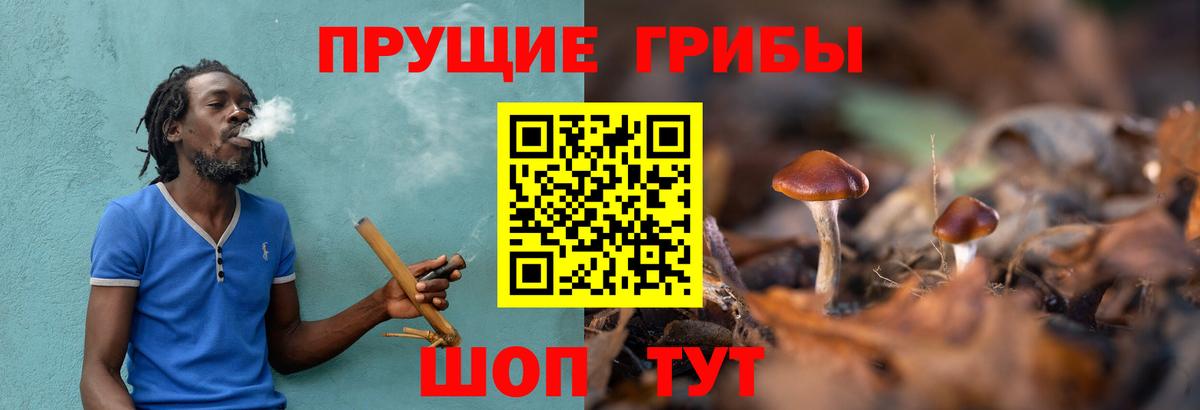 Псилоцибиновые грибы ЛСД  Вход с VPN  Псилоцибиновые грибы Magic Shrooms  Елизово 
